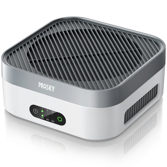 PRASKY Air Purifier for Home up to 600 Sq ft, Remove Smoke, Dust, Allergies (Grey)