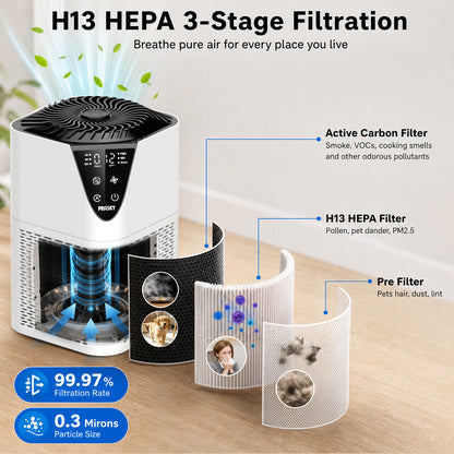 PRASKY Air Purifier for Home with Filter Brusher 1076 Sq Ft Coverage, True HEPA Filter for Pets, Smoke & Allergies | Quiet for Bedroom/Living Room (White)